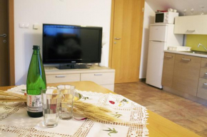 Apartma Pegaz